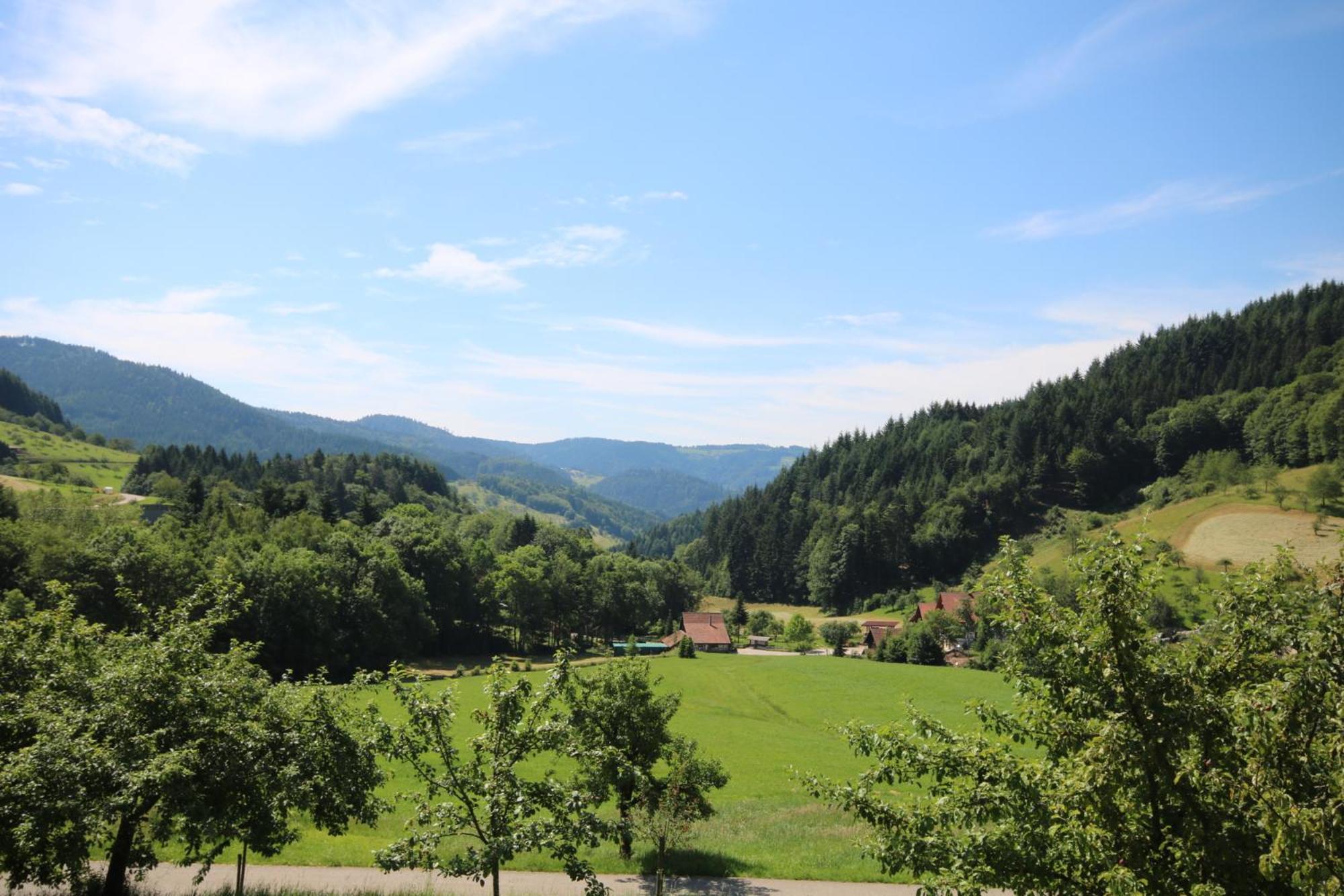 Villa Kasimir Hof Seebach Esterno foto